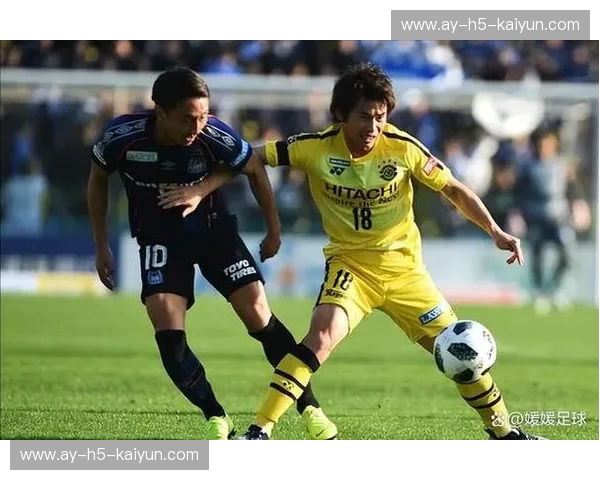 东京J1，新泻天鹅：一场关于速度与激情的足球史诗